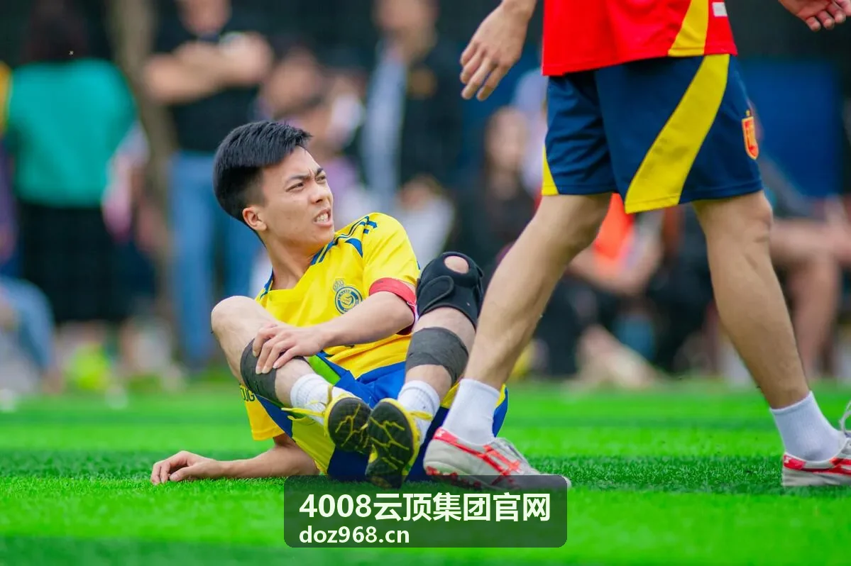 4008云顶集团官网客服协同方案